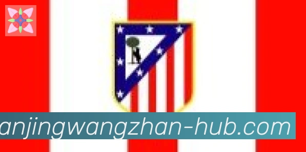 趣玩电竞官方网站合作伙伴